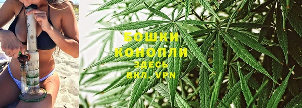 молекула духа Верхний Тагил