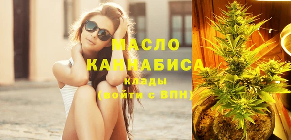 молекула духа Верхний Тагил