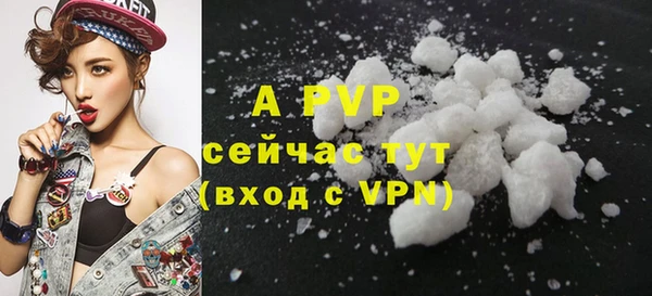 молекула духа Верхний Тагил