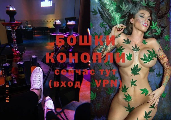 молекула духа Верхний Тагил